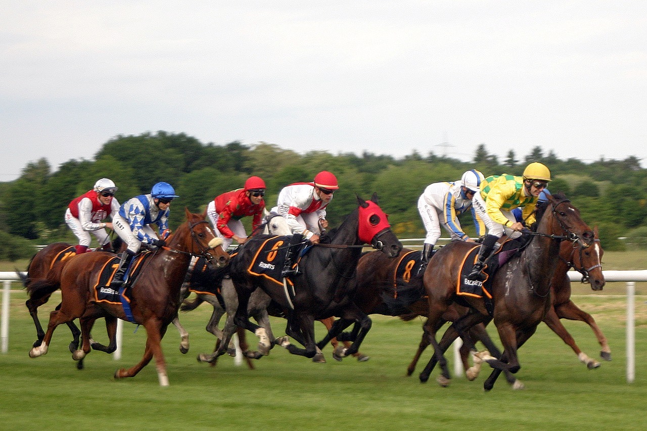 Can genetic testing predict equine winners?